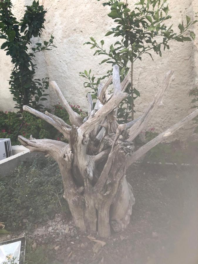 B&B Villa S.Anna Μπάρι Εξωτερικό φωτογραφία