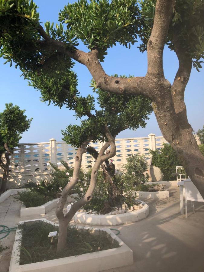 B&B Villa S.Anna Μπάρι Εξωτερικό φωτογραφία
